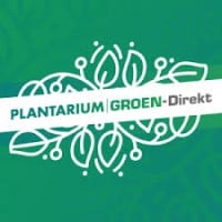 Plantarium Groen-Direkt Hazerswoude-Dorp 2027
