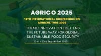 Where the Margin Is. International Conference Moscow 2027