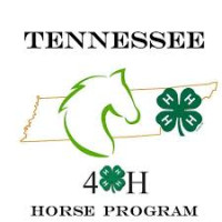 Tennessee 4-H State Horse Show Knoxville 2026