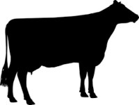 Dairy Cattle Show Geneva 2026